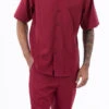 Burgundy Tone On Tone Vertical Stripes Walking Suit 2 Piece Short Sleeve Set -Clothing Shop 2306 BURGUNDY