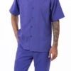 Purple Tone On Tone Vertical Stripes Walking Suit 2 Piece Short Sleeve Set -Clothing Shop 2306 PURPLE
