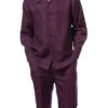 Plum Tone-on-Tone 2 Piece Long Sleeve Walking Suit Set -Clothing Shop 2391Plum 1