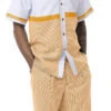 Gold 2 Piece Short Sleeve Walking Suit Set Horizontal Color Block With Shorts -Clothing Shop 72212 Gold