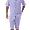 Lavender Tone On Tone Vertical Stripes Walking Suit 2 Piece Short Sleeve Set With Shorts -Clothing Shop 72306 Lavender