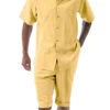 Gold Tone On Tone Vertical Stripes Walking Suit 2 Piece Short Sleeve Set With Shorts -Clothing Shop 72306 gold