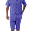 Purple Tone On Tone Vertical Stripes Walking Suit 2 Piece Short Sleeve Set With Shorts 1 Purple Tone On Tone Vertical Stripes Walking Suit 2 Piece Short Sleeve Set With Shorts -Clothing Shop 72306 purple