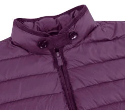 Berry Regular Classic Fit Goose Down Vest -Clothing Shop 831 7 3