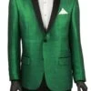 Metallic Shiny Green Slim Fit Sport Coat -Clothing Shop BSF 6GREEN 2048x2048 8566a937 791b 45f5 a5d1 8b5fa50ddeaf