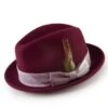 Wool Felt Fedora With Feather Accent In Burgundy -Clothing Shop H 1818 Wine
