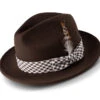 Brown Wool Felt Dress Hat With Feather Accent