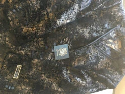 Empire Collection - Regular Fit Black And Gold With Fancy Metallic Pattern Sports Coat -Clothing Shop IMG 0578 1