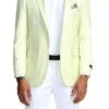 (S) Slim Fit Blazer 2 Button In Solid Mint -Clothing Shop MJ284S 01 29705.1551125974 ff122de7 fbe8 44e0 a85b 4ba24eb5c3d8